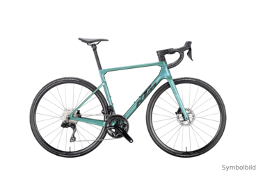 REVELATOR ALTO ELITE 2026